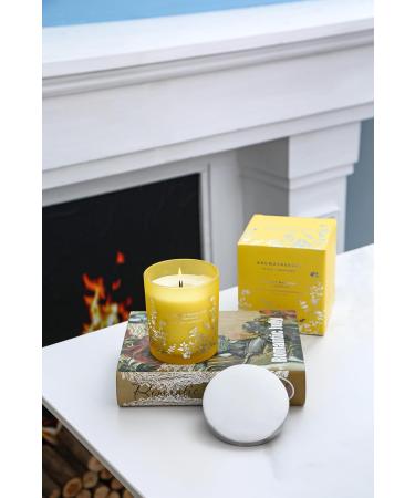 Coconut Mandarin Vanilla Candles - Luxury Highly Scented Soy Candles for Home | Tropical Beach Aromatherapy Relaxation Gifts - Buy Online on GoSupps.com
