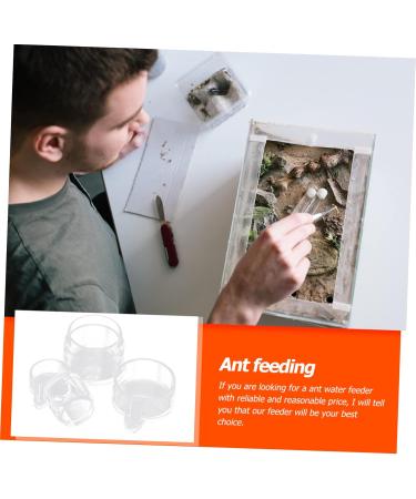 SEWOART 2pcs Ant Water Feeder Ants Ant Nest Water Feeder Ant Liquid Feeder Pet Waterer Transparent Acrylic - Buy Online on GoSupps.com