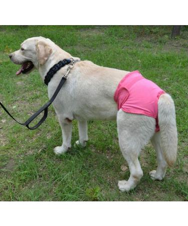 Buy Oyccen 2pcs Reusable Dog Diapers for Female Dogs | Protective Pants & Sanitary Underwear | Eco-friendly Pet Products - Buy Online on GoSupps.com