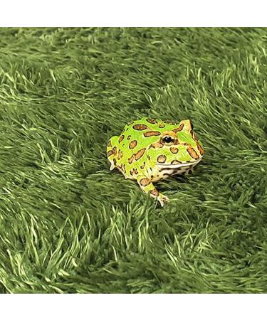 High-Quality Artificial Turf Patch & Carpet - Perfect for Pets Reptiles & Aquariums | 2-Piece Green Mat Set - Buy Online on GoSupps.com