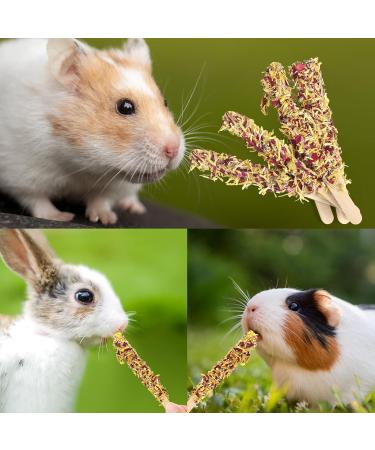 Buy Abiz Cake Stuff Rabbits - 18 PCs Hamster Treats & Wood Petal Sticks for Dwarf Rabbits Chinchillas Guinea Pigs & More - Perfect Rodent Snacks! - Buy Online on GoSupps.com
