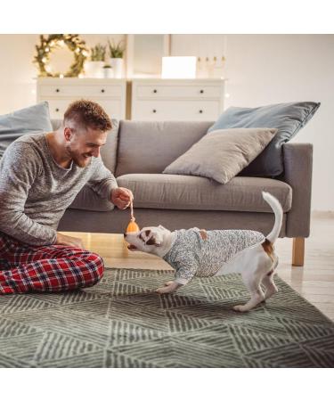 Wisebom 4PCs Winter Dog Sweater Set | Classic Knitting for Small & Medium Dogs | Warm Soft & Easy to Carry - Buy Online on GoSupps.com