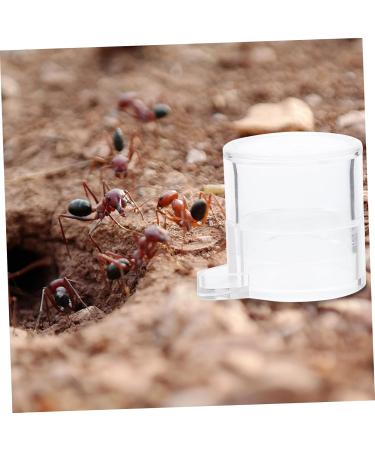 SEWOART 2pcs Ant Water Feeder Ants Ant Nest Water Feeder Ant Liquid Feeder Pet Waterer Transparent Acrylic - Buy Online on GoSupps.com