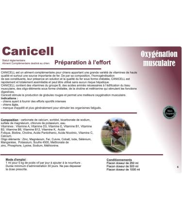 REKOR Canicell 500 ml - Buy Online on GoSupps.com