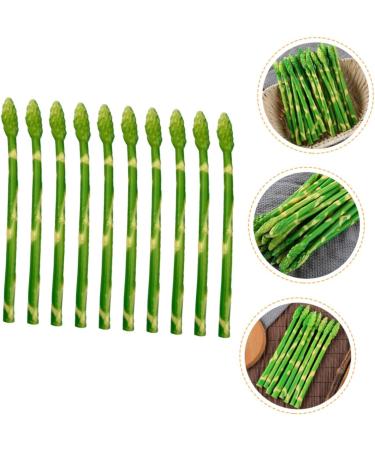 HOMSFOU 50 Pcs Simulated Asparagus Ornaments Fake Vegetables Asparagus Decor Fake Plastic Lifelike Vegetables Faux Asparagus Fern Plastic Vegetables Model Fake Food Model Sample Pvc Plant Light Greenx5pcs 19X0.9CMx5pcs - Buy Online on GoSupps.com