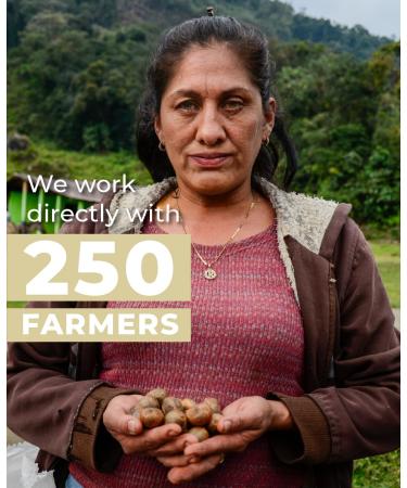 Cacay Pure Anti-Aging Oil | Natural Retinol Cacay Oil for Face & Hair | Organic Skin Oil Therapy with Vitamin E | Includes Spa Headband - Buy Online on GoSupps.com