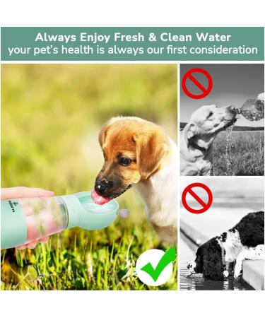 Philorn 350ml Portable Dog Drinking Bottle | BPA-Free 100% Leak-Proof | Cat & Dog Water Bottle & Food Mug | Mint Green - Buy Online on GoSupps.com