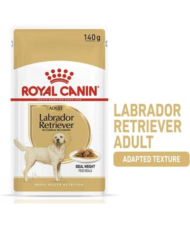 Royal Canin Labrador Retriever Adult in Gravy Wet Dog Food 140g (Pack of 10) - Buy Online on GoSupps.com