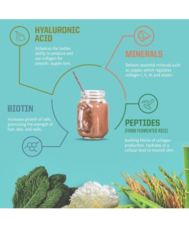 Buy Sunwarrior Vegan Collagen Protein Powder - 500g | Vegetable Protein for Muscle Mass & Easy Digestibility - International Shipping Available - Buy Online on GoSupps.com