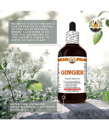 Ginger (Zingiber Officinale) Dry Root Tincture, Made in Hawaii, Organic Raw Materials, All Natural, Vegan, Pure Liquid Extract - 4 fl.oz 4 Fl Oz (Pack of 1) - Buy Online on GoSupps.com