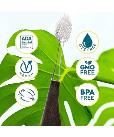 RADIUS Toothbrush Source Floss Brush BPA Free & ADA Accepted Medium - Improve Gum Health - Reduce Gum Issues - 1 Pack - Buy Online on GoSupps.com