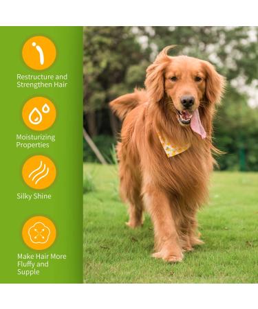 Nobleza Dog Shampoo for Long Hair with Camellia Sinensis Extract | Itch Relief & Odor Control | Paraben & Phthalate Free | Lavender Citrus Scent | 250ml - Buy Online on GoSupps.com