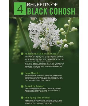 Organic Black Cohosh & Blue Cohosh Herbal Tincture | Handcrafted by Traditional Herbalists - Buy Online on GoSupps.com