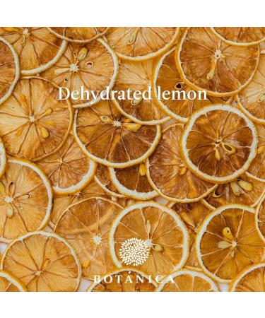 Dried fruits dried lemons for gin cocktail drink decoration from 100% natural ingredients no added sugar gin gift kit slices 1 kg - Buy Online on GoSupps.com