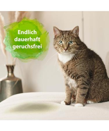 Bactador Enzyme Cleaner - Cat Toilet Smell Remover Spray 150ml | Microbiological Odor Neutralizer | Dog & Cat Urine Odor Eliminator | Deep Cleaning for Pets - Buy Online on GoSupps.com