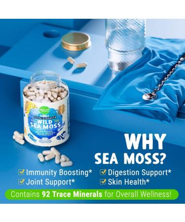 Maju Superfoods Mental Mushrooms Black Seed Oil and Sea Moss Capsules Bundle - Buy Online on GoSupps.com