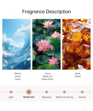 Hotel Diffuser Oil Inspired by The Iconic 5-Star Hotel - Fresh Ocean Lotus Amber and Coastal Blend - 10 mL (0.34 fl oz) - Fragrance Oil for Waterless Diffusers - Buy Online on GoSupps.com