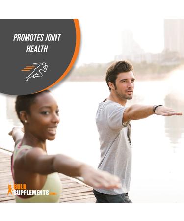 BulkSupplements N-Acetyl D-Glucosamine (NAG) Powder - Joint Support and Cartilage Supplement - 500g - Buy Online on GoSupps.com