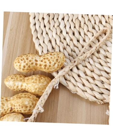 Yardenfun String Decoration Artificial Peanut Vegetable Fake Hanging for Home Wall Restaurant Lifelike Fruit - Buy Online on GoSupps.com
