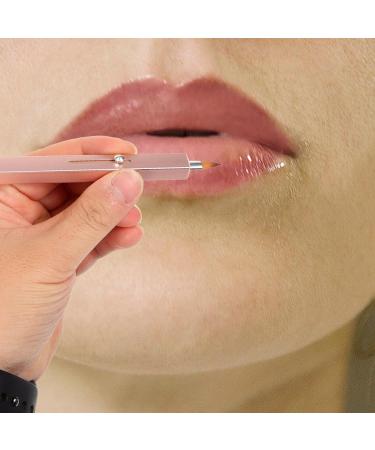 Beaupretty Lip Brush Portable Lip Applicator for Lipsticks Lip Reusable Lip Gloss Balm Applicator Eyeshadow Lip Cream Brush Pink - Buy Online on GoSupps.com