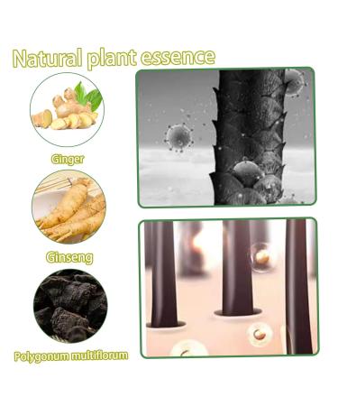 Natural Plant Hair Dye - 10Pcs Bubble Formula | Fast Coloring Mild Care Long-lasting Brown - 30ml Each - Buy Online on GoSupps.com