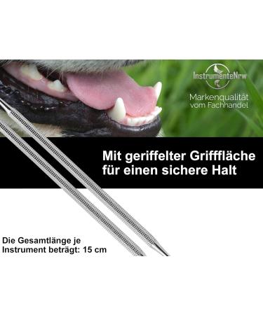 Buy Dog Tartar Remover Set - 2-Part Stainless Steel Tooth Cleaner for Pets | Effective Tartar Scraper & Specialist Retailer - Buy Online on GoSupps.com