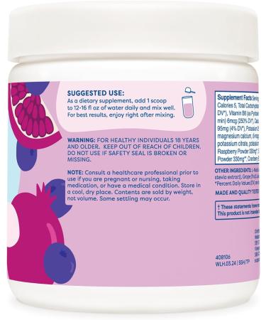 Buy Splish Splash Hydration Electrolyte Drink Mix - Blueberry Pomegranate Flavor (30 Servings) | International Shipping Available - Buy Online on GoSupps.com