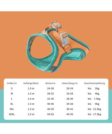 Fueegue Cat Harness & Leash - Escape Proof Adjustable Soft Harness for Cats & Dogs - Green L - Buy Online on GoSupps.com