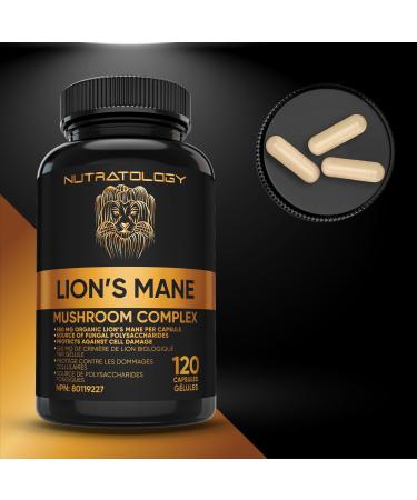 Organic Lion's Mane Mushroom Capsules - Nootropic Mushroom Supplements Formulated With 40% Polysaccharides & 20% Beta-Glucan! Immunomodulating Properties & A Potent Source Of Antioxidants. Supports Memory Cognition & Brain Health - 120 Capsules 120 count  - Buy Online on GoSupps.com