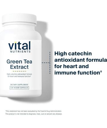 Vital Nutrients Green Tea Extract 550mg | Potent Antioxidant for Heart & Immune Health* | Polyphenols Supplement with EGCG | Gluten Dairy Soy Free | Non-GMO | 120 Capsules 120 Count (Pack of 1) - Buy Online on GoSupps.com