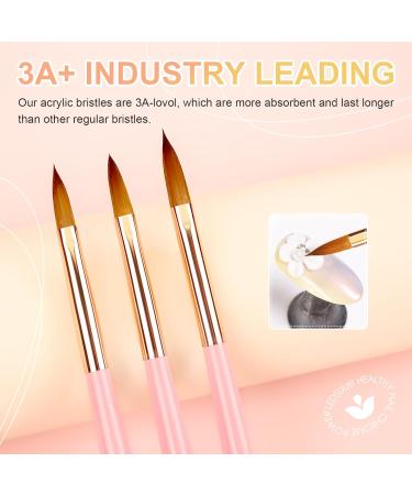 LEDSUUEI Kolinsky Acrylic Nail Brush Set - Size 8/10/14 - High Quality Durable Brushes for Beginner Nail Art - Ideal for Acrylic Powder and Gel Nails - 3D Nail Art Tool - A-COLOR - Buy Online on GoSupps.com