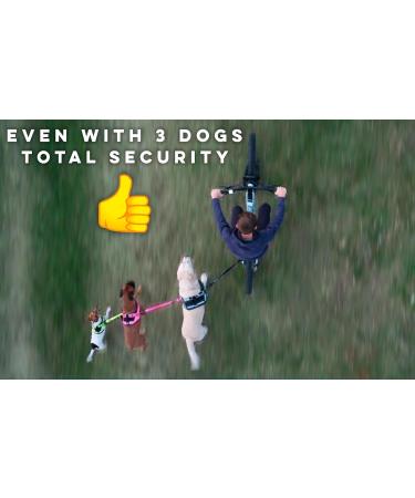 Buy Bike and Dog: Patented Toolless Bicycle Attachment & Yellow Dog Leash | Perfect for Cycling with Dogs - Buy Online on GoSupps.com