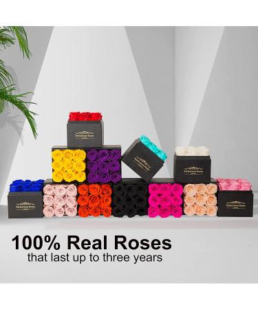 Perfectione Roses - Long-lasting Black Real Roses in a Box for Her | Birthday, Anniversary, Mother's Day Gift - Buy Online on GoSupps.com