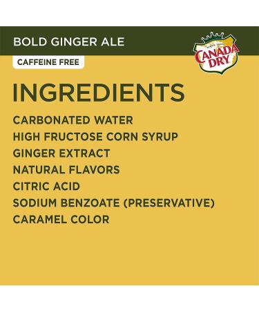 Canada Dry Bold Ginger Ale Mini Cans 7.5 fl oz - 6 Pack - Buy Online on GoSupps.com