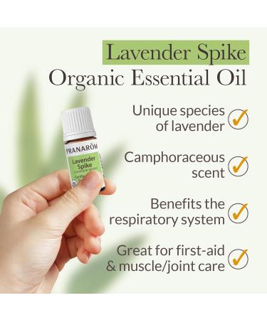 Pranarom - Lavender Spike Essential Oil 5ml - Ideal for Wellness Enthusiasts - Diffusing for Relaxation Therapy - Certified Organic Purity - 100% Pure Certified Organic Lavandula Spicata - Buy Online on GoSupps.com