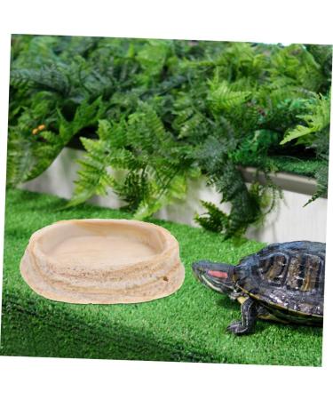 ROMISBABA 2pcs Pet Bowl Bearded Dragon Water Bowl Terrarium Water Bowl Reptile Feeding Dish Animal Resin Beige - Buy Online on GoSupps.com