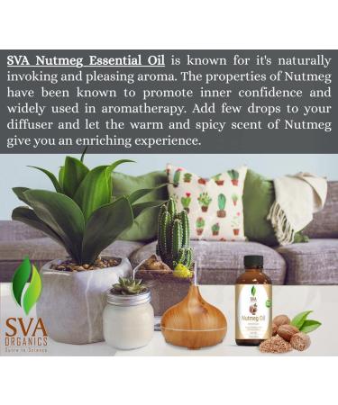 Nutmeg Essential Oil 1oz - Premium Therapeutic Grade, 100% Pure & Natural - for Skin, Aromatherapy, Hair Care - with Dropper - Buy Online on GoSupps.com
