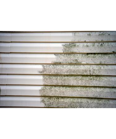 Armor MSC100 Gentle Cleaner - Best for Concrete Pavers Stone Gutters & Siding | International Shipping - Buy Online on GoSupps.com