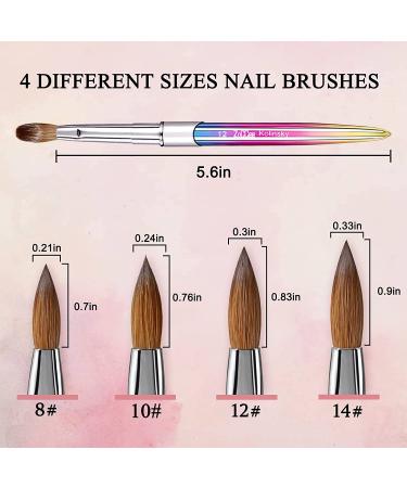 Kolinsky Acrylic Nail Brush for Professional Manicure - Gradient #12 Nail Art Powder Brush - Ideal for DIY Home Salon - Buy Online on GoSupps.com