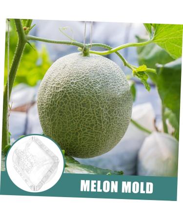 Yardenfun 2pcs Fruit Shaping Mold Fruits Adorable Fruit Mold Creative Melon Molds Accessories Vegetable - Buy Online on GoSupps.com