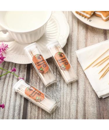 10 Pack Cinnamon Toothpicks - Flavored Toothpicks for Adults | 200 Pcs Cinnamon Infused Toothpicks | International Shipping Available - Buy Online on GoSupps.com