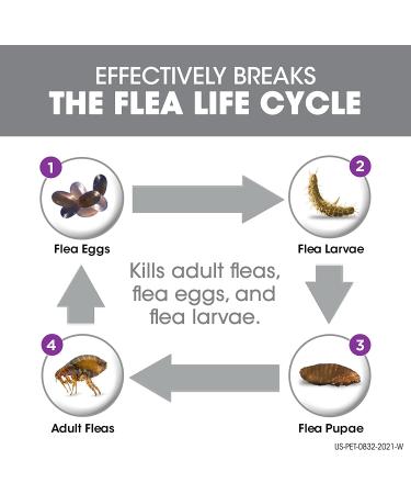 FRONTLINE Plus Flea & Tick Treatment for Large Dogs (45-88 lbs) - Effective Protection - Buy Online on GoSupps.com