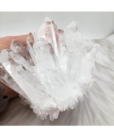 Natural Crystal Rough Natural White Transparent Cluster Stone ore demagnetization Stone Purification Decoration Can be Used for (Size : 650-750g) - Buy Online on GoSupps.com