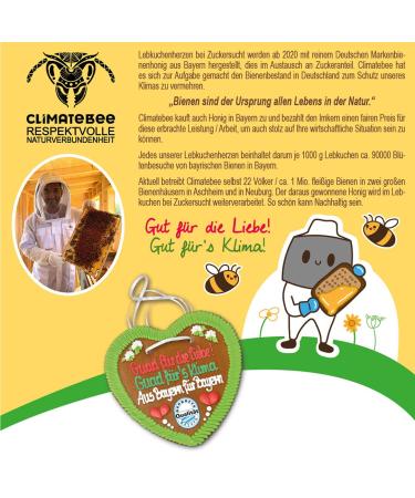 Buy Gingerbread Hearts - 10 Piece Oktoberfest Lebkuchen from Munich | Original Fresh Confectionery | Unique Pet Seed Sayings | Affordable Prices - Buy Online on GoSupps.com