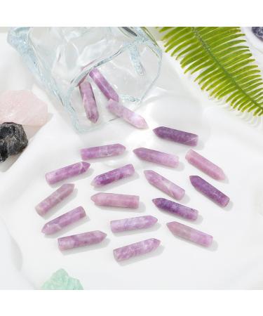 MAIBAOTA Lepidolite Healing Crystals Gifts Wands Hexagonal Pointed Gemstones Set Bulk for Women Beginner Chakra Stones Nature Reiki Spiritual Energy Balancing Protection Crystal 10pcs - Buy Online on GoSupps.com