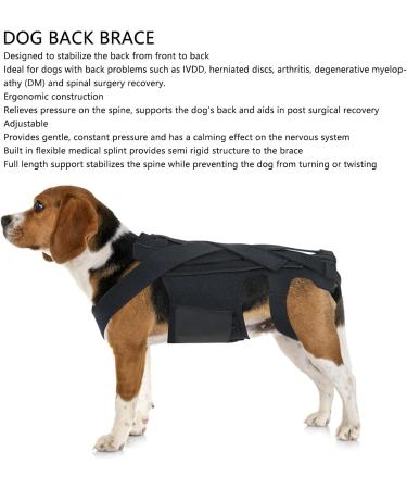 Back Bracer for IVDD in Dogs Dog Back Brace for Dogs Arthritis Spinal Surgical Recovery Herniated Disc Slipped Disc Rehabilitation Adjustable Back Support Back Protector (L) - Buy Online on GoSupps.com