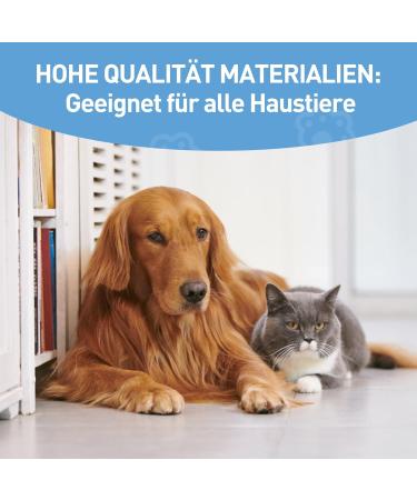 HOMJOY Professional Pet Nail Scissors & Files - Stainless Steel Nail Clippers for Dogs Cats Guinea Pigs - Safe & Durable Blue - Buy Online on GoSupps.com