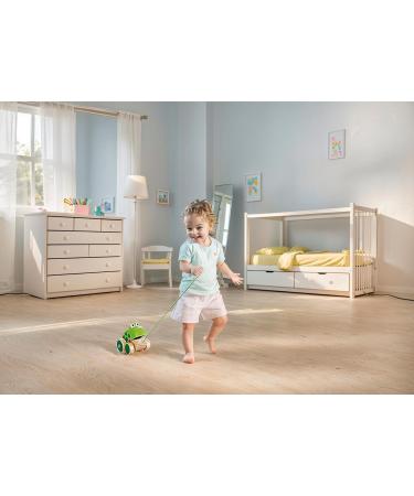 Hape Pull Frosch Fridolin - Wooden Frog Pull Toy for Toddlers | Colorful Fly-Eating Toy | International Shipping Available - Buy Online on GoSupps.com