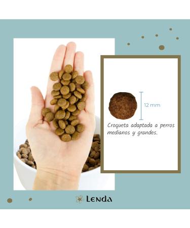 Lenda Light - Complete low-calorie chicken food for overweight or gaining adult dogs | Facilitates weight control and reduction - 2kg - Buy Online on GoSupps.com