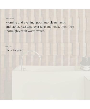 Aesop Fabulous Face Cleanser 200mL | Paraben-Free Cruelty-Free & Vegan | International Shipping - Buy Online on GoSupps.com
